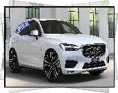 Volvo XC60, Białe